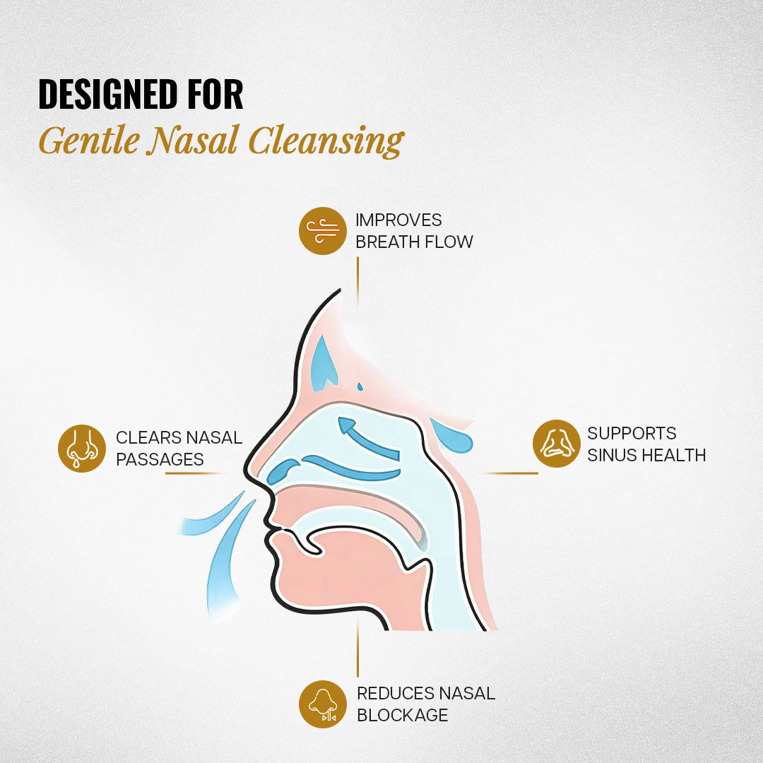 sutra neti
sutra neti set
neti pot

neti set of 10
sutra neti pot
sutra neti 10
neti pot set of 10
neti pot set
neti
neti set